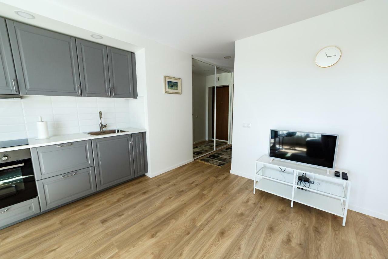 Spacious Apartment Close To The Old Town Vilnius Luaran gambar